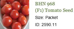 0030_20201223_1146_2021 Seed Order - BHN 968 Tomato.jpg
